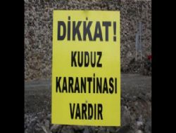 4 köyde kuduz karantinası 